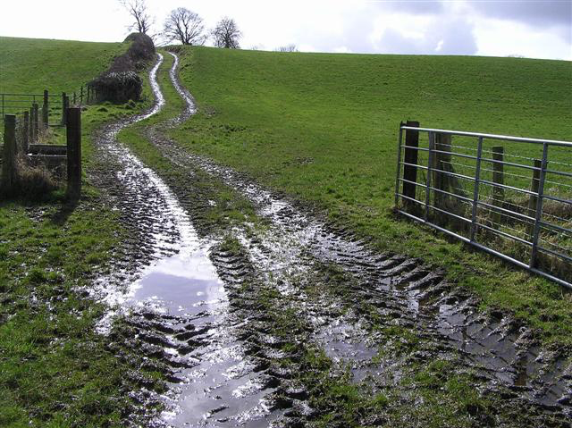 Image: View of an open gate and muddy farm track leading up green rolling hills