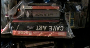 Figure 4. Once the books were treated, they had to be stored in plastic bags to make sure that no bed bugs could make their home inside. © Jamie Berthe (2010)