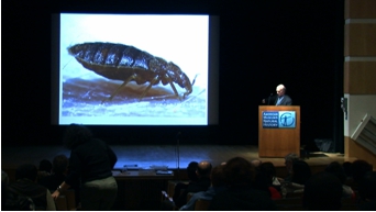 Figure 5. Entomologist Lou Sorkin gives a lecture – “What do you really know about bed bugs?” – at the American Natural History Museum in New York City. © Jamie Berthe (2010)