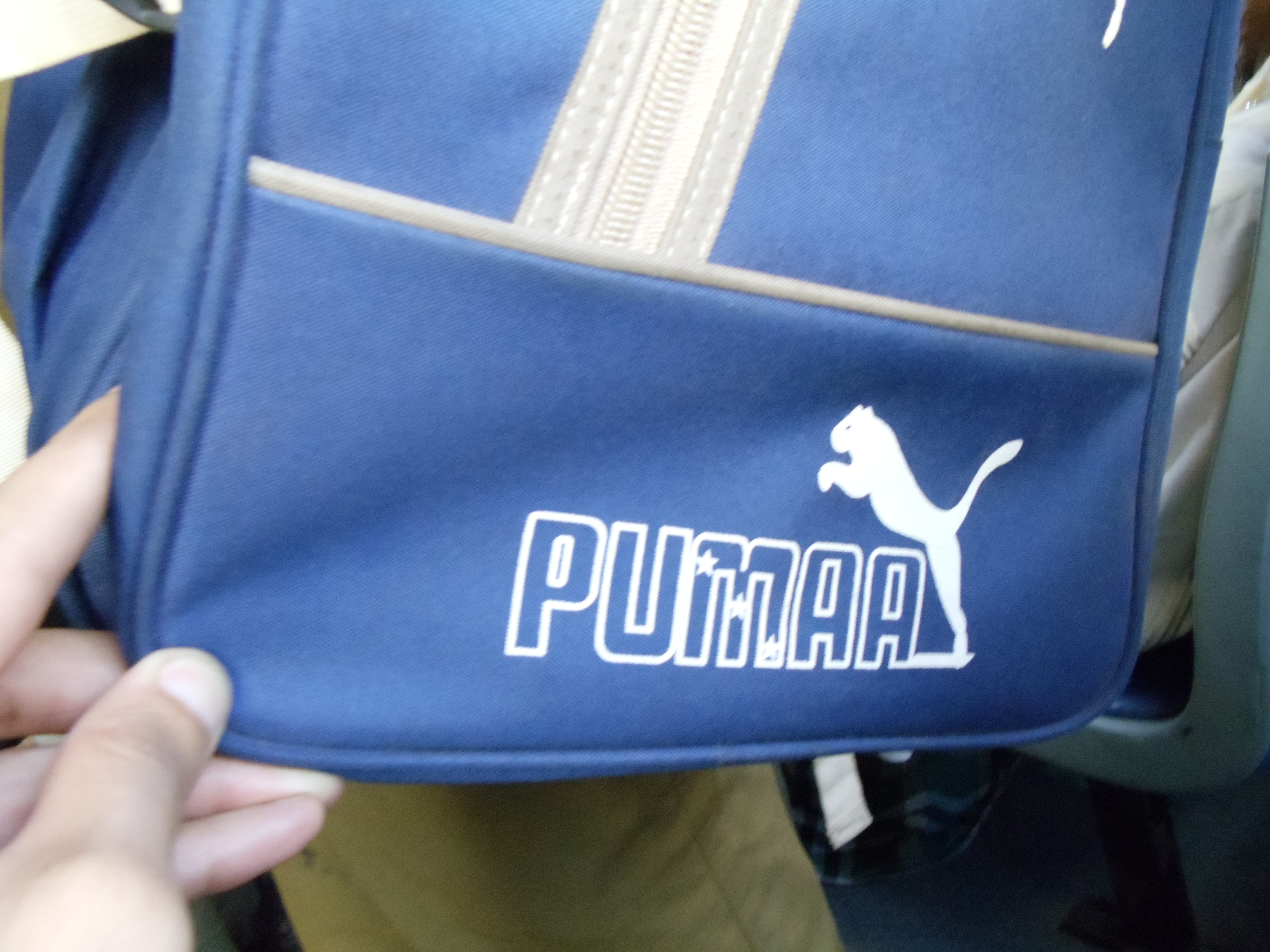 Figure 7. Pumaa and Poma Bags (Chennai, 2011)