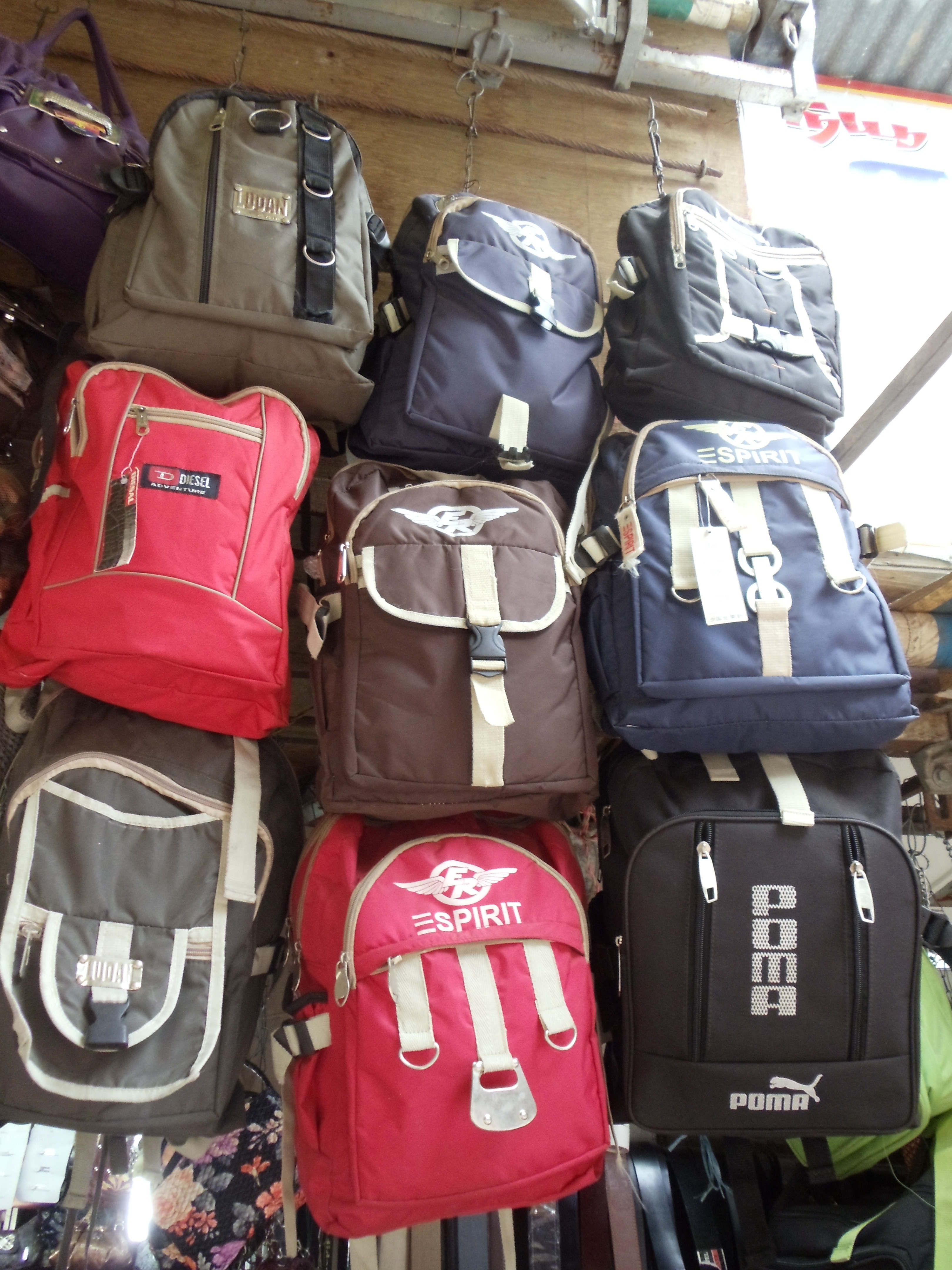 Figure 7. Pumaa and Poma Bags (Chennai, 2011)