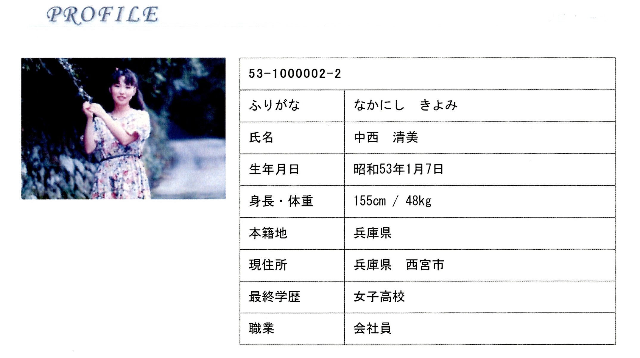 Figure 1. A sample profile from the NNK.