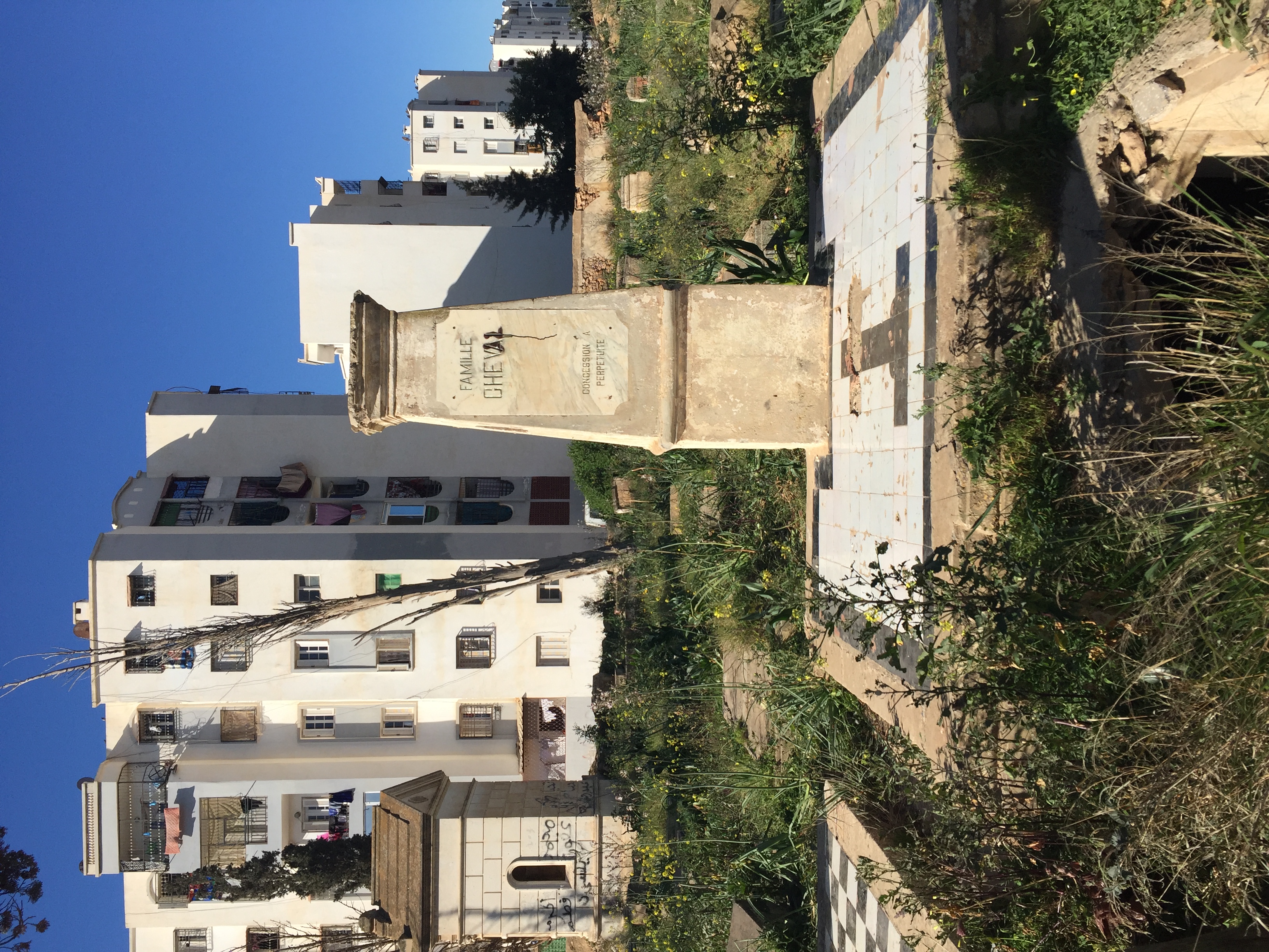 Figure 1. The abandoned Christian Cemetery of Oued Tlélat. Photo by author