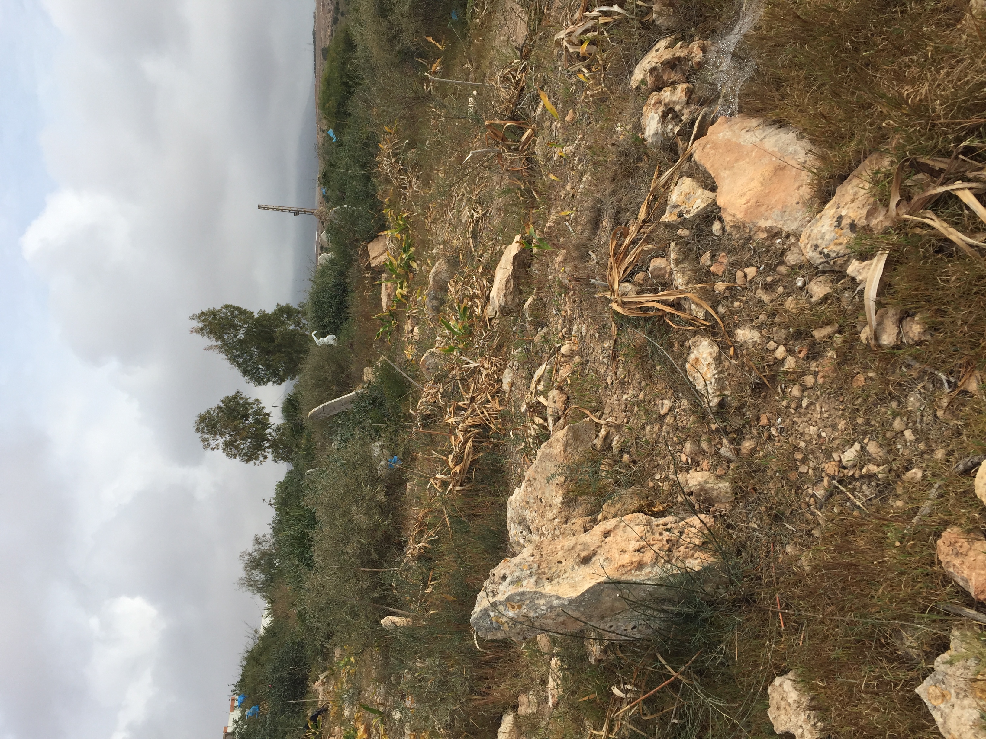 Figure 5. The site of Miloud’s parents’ graves. Photo by author.