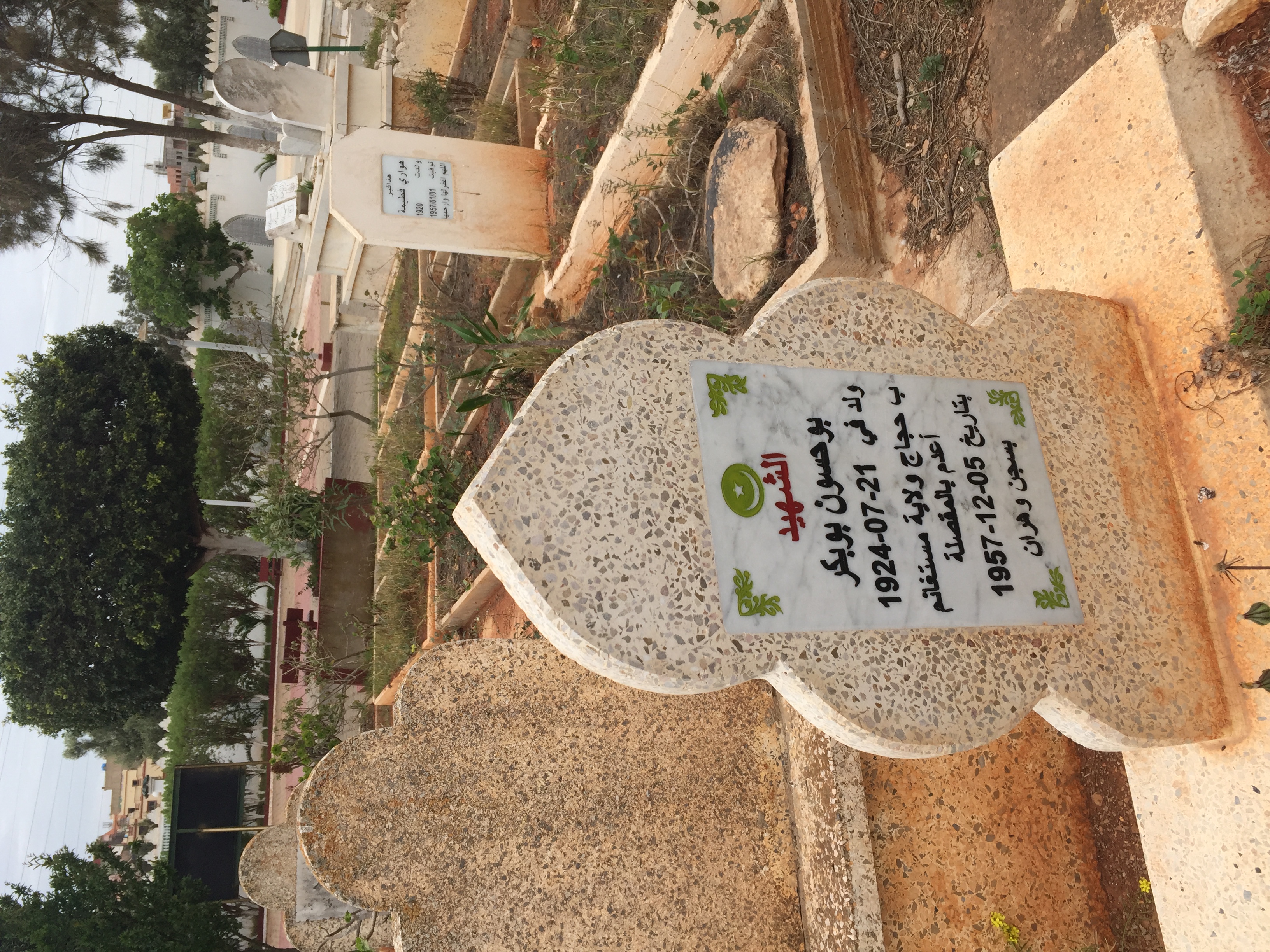 Figure 7. The grave of an Algerian martyr guillotined during the war next to unmarked burial plots. Photo by author.