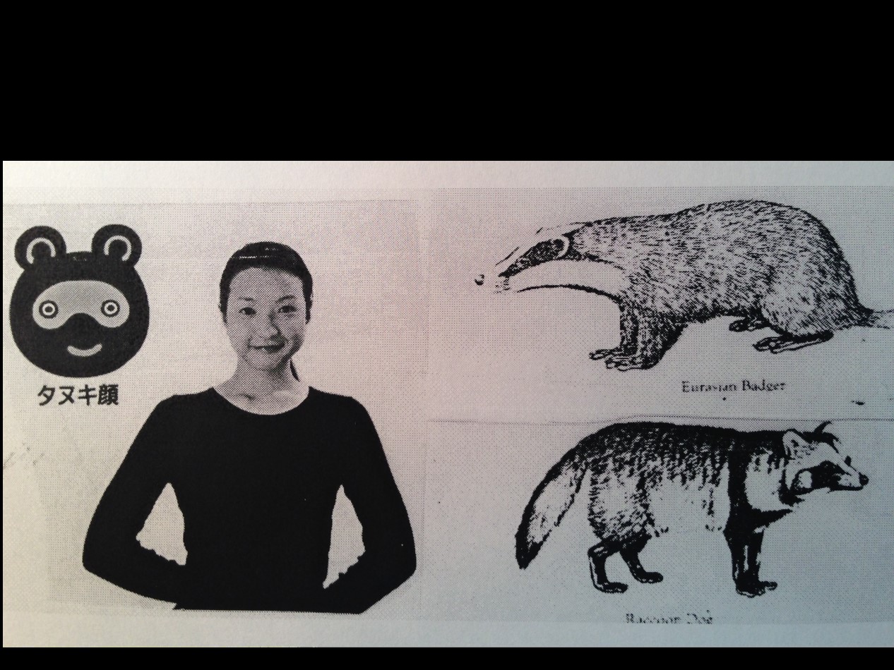 Figure 18. Tanuki image and tanuki-faced girl from MORE; badger and tanuki.