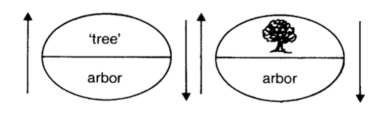 Figure 6. From de Saussure, Ferdinand de. 1986[1916]. Course in General Linguistics. Trans. R. Harris. Peru, IL: Open Court, p. 67.