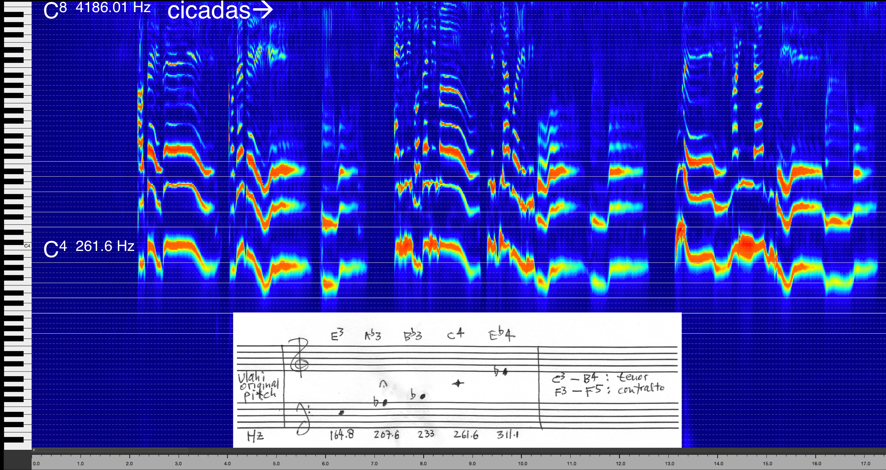 Figure 4. Spectrogram of Ulahi’s song, alongside piano roll and music notation of her original pitches
