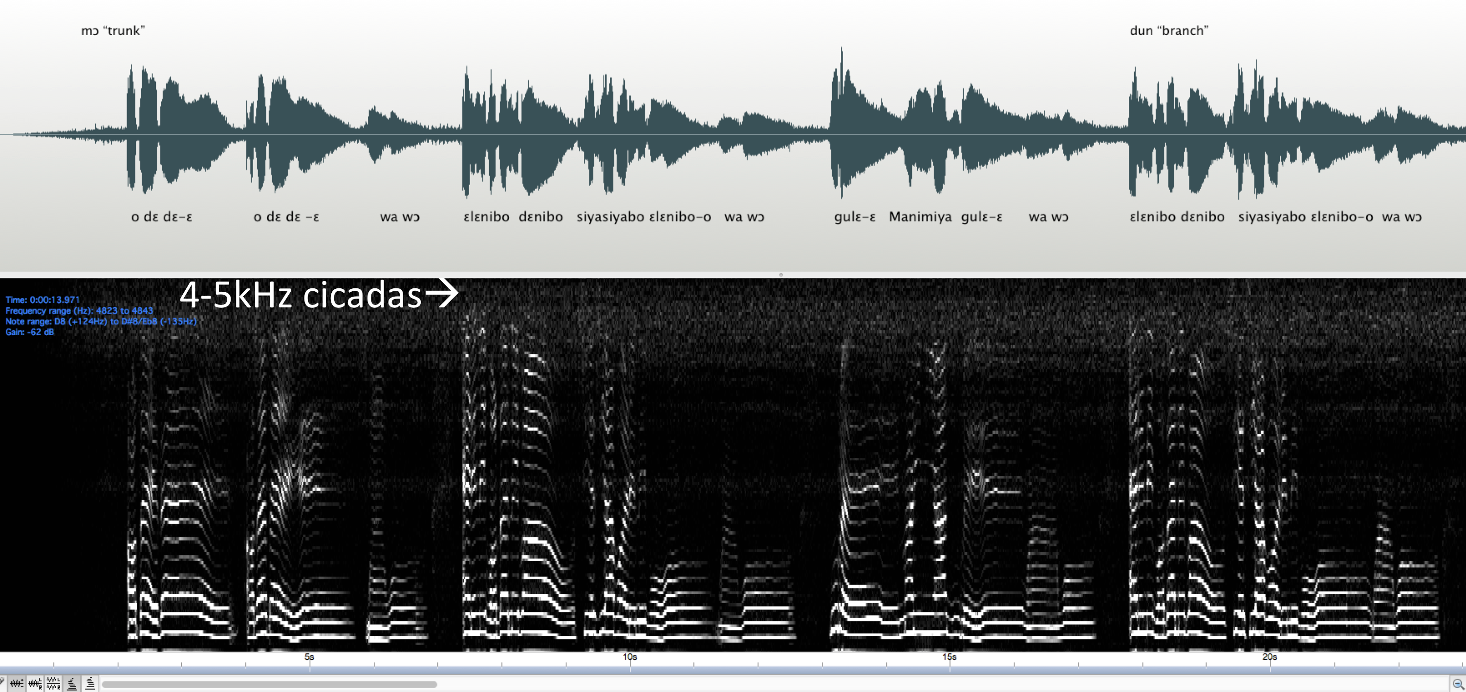 Figure 5: Wave form, linguistic form, and spectrogram of cicadas and Ulahi’s voice in intermedial resonance.