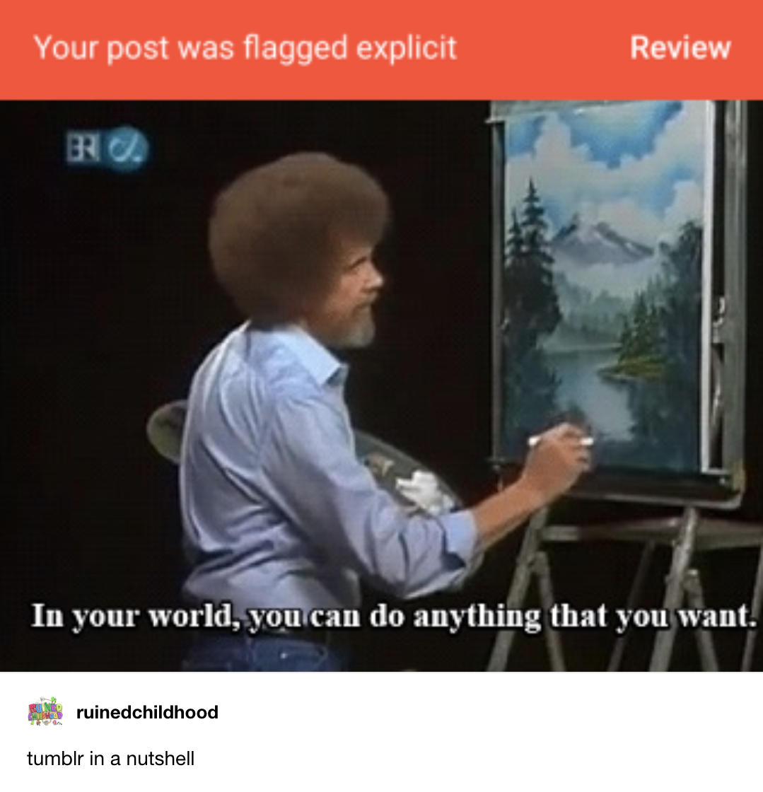 Figure 6. Post-December 17th, 2018 posts (6a and 6b) captioning “Tumblr in a nutshell”