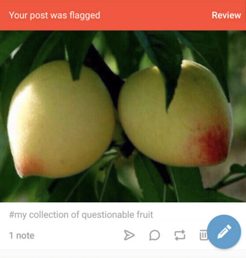 Figure 6. Post-December 17th, 2018 posts (6a and 6b) captioning “Tumblr in a nutshell”