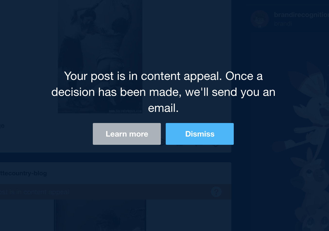 Figure 8. Content appeal on Tumblr: (8a) Original image posted; (8b) Image flagged; (8c) Tumblr’s response; (8d) Tumblr’s decision 