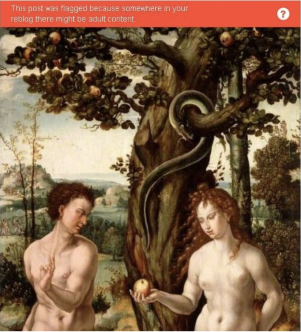 Figure 10. Licensed transgressions: memes highlight the algorithm’s incorrect flagging of art. 